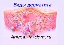 животни