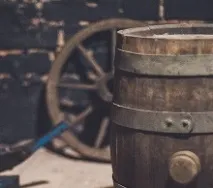 франшиза