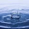 слів