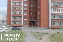 У Нижньому Тагілі пітбуль покусав дитину і загриз її собаку - Новини Нижнього Тагіла загриз