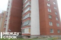 У Нижньому Тагілі пітбуль покусав дитину і загриз її собаку - Новини Нижнього Тагіла тагілі