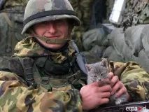 Війна та кішки кішок