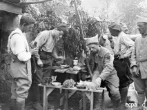 Війна та кішки 1916