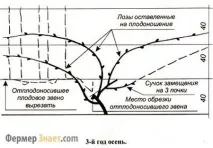 през