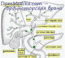 Освіта жовчі освіта