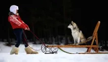 хаскі