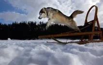 чудовий