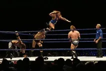 Wrestling - це Україні