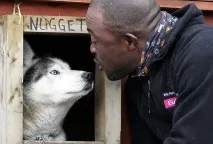 чудовий