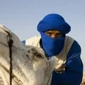 Хоттабич - пошук слів за маскою та визначенням, відповіді на сканворди хоттабич