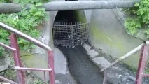 Хмельницька товкучка - речовий базар хмельницька
