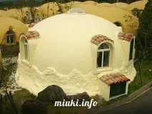 будинки