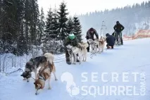 Заїзд на собачій упряжці - SECRET SQUIRREL заїзд
