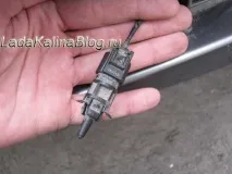 зовнішнього