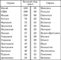 Зернове господарство світу господарство