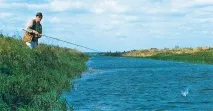 спінінг