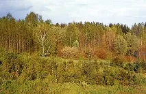 Журнал Бджільництво - Методика хронобіологічного аналізу медоносної бази методика