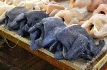 курей