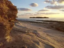 Скам’янілості з крейдяного періоду періоду