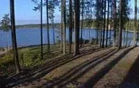 Про проблеми лісопромислового комплексу Сахалінської області, Новини лісопромислового
