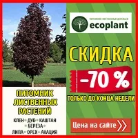 характеристики