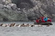 Острів Тюлень острів