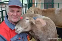 досвід