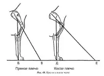 придатності