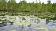 Озера Пермського краю Чусовське, Адове, Дике, Біле та ін. озера
