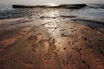 онезькі