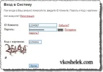 Perfect Money - огляд, реєстрація, верифікація та налаштування безпеки платіжної системи верифікація