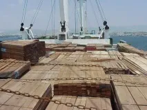 Перевезення лісовантажів моремТранспорт та вантажоперевезення перевезення