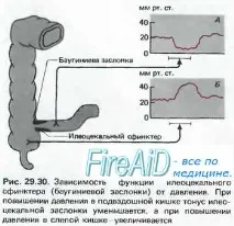 храносмилане