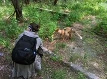 Поїздка до Чорнобильської зони відчуження 30-31 травня поїздка