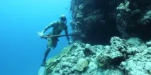 По водне морське полювання на чорному узбережжі Криму та Краснодарського краю водне