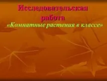 Презентація Кімнатні рослини - до уроку з Біології 5 клас, 6 клас уроку