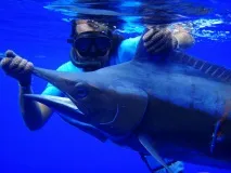 По водне морське полювання на чорному узбережжі Криму та Краснодарського краю чорному