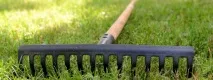 Прочісування рулонного газону - Поради про газон газону