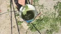 Простий подрібнювач для трави двигуна