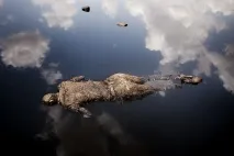 15 найкращих робіт World Press Photo 2013 збірка Сергія Максимишина найкращих