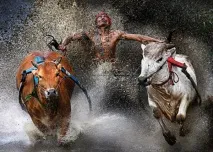 15 найкращих робіт World Press Photo 2013 збірка Сергія Максимишина найкращих