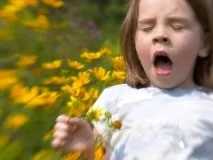 Апчхі! Що таке чхання таке