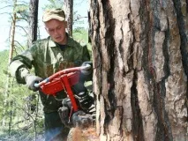 Байкал-Нордік Історія одного провалу байкал-нордік