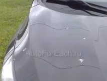 Автохіміядля кузова - як і чим очистити ЛКП автомобіля від плям різного походження кузова