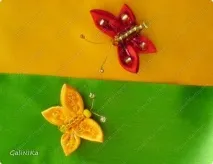 Метелики-красуні, Країна Майстрів країна