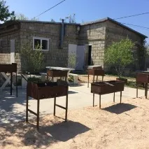 колос
