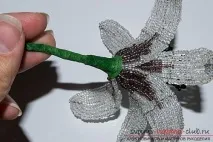 Безкоштовні майстер класи з плетіння тигрової та білої лілій з бісеру з фото безкоштовні