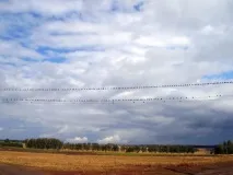 зовсім