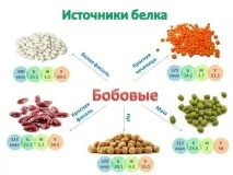 Білкові (протеїнові) продукти білкові