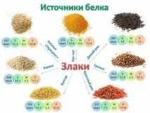 Білкові (протеїнові) продукти продукти